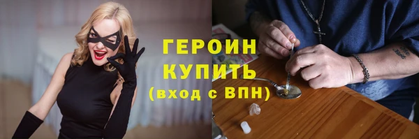 индика Богородицк